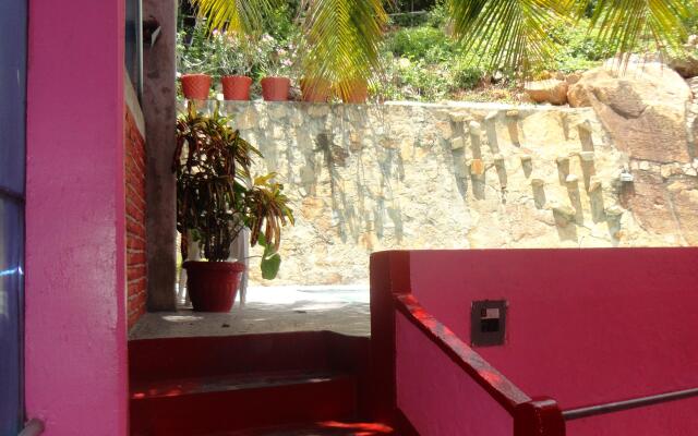 Hotel La Jungla