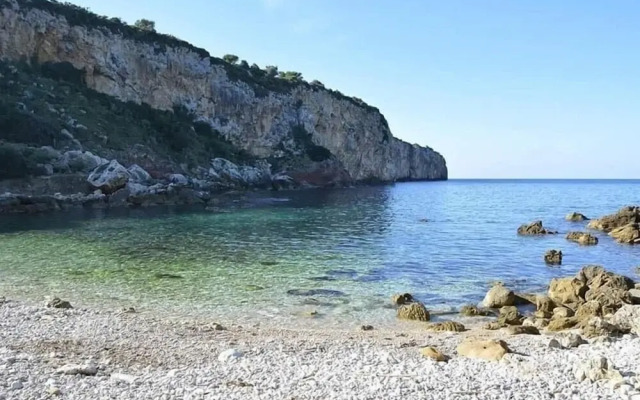 Cocciu D'Amuri
