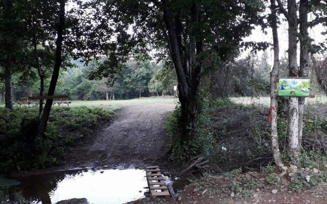 Kirkahvesi Garden - Campsite