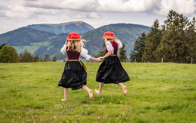 Schwarzwaldhaus Krebs - Villa Kunterbunt, Lenzkirch, Feldberg