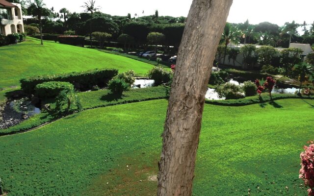 Palms at Wailea #1204