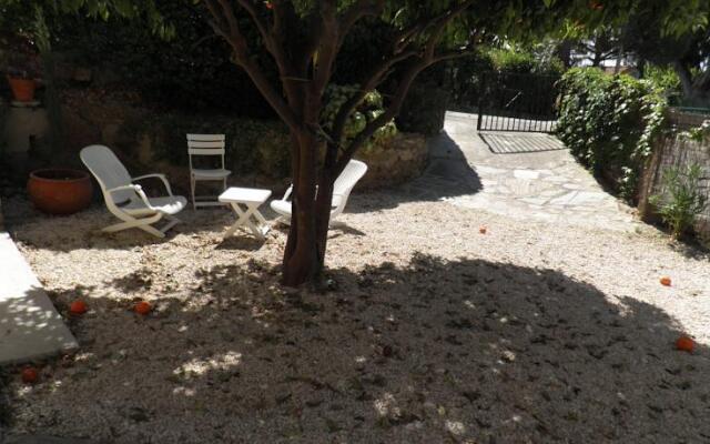Le Pin Parasol