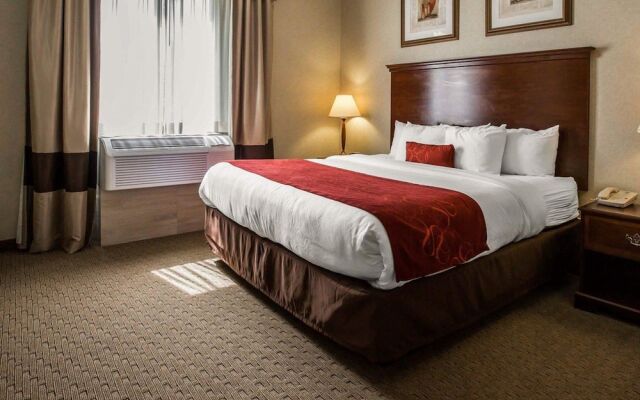 Comfort Suites Stafford