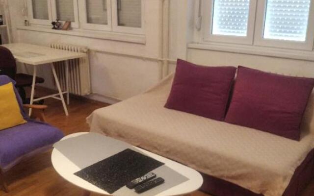 ViVa Apartment