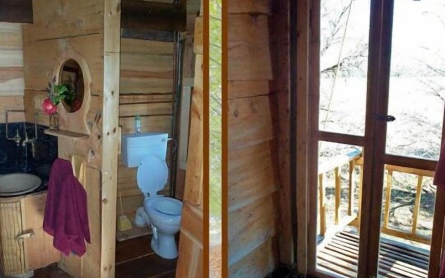 Sycamore Avenue Treehouses