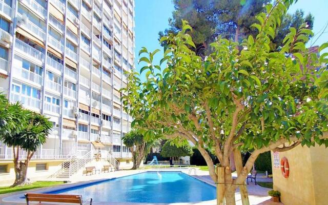 Albatros Apartment