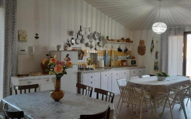 Rosa's House Bed and Breakfast