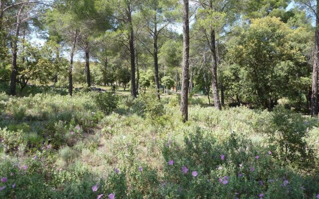 House With one Bedroom in Saint-marc-jaumegarde, With Pool Access, Enc