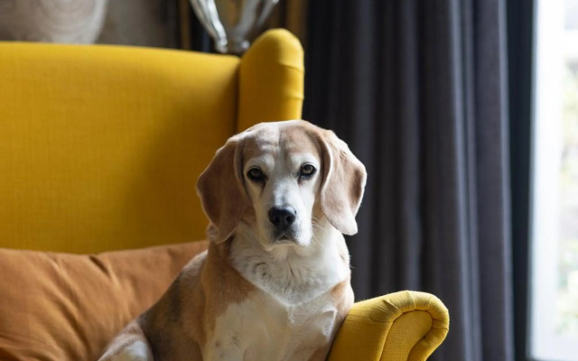 Passage, spacious apartment in historic center