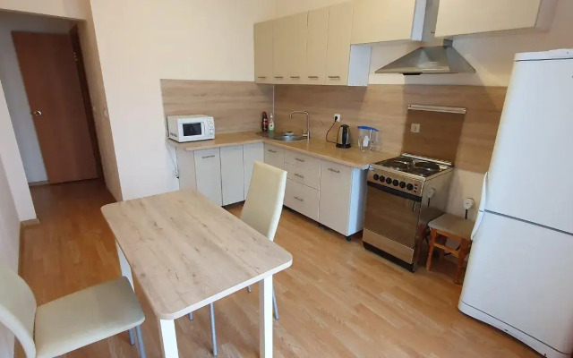 Apartments on 17 Nikolay Fedorov Street