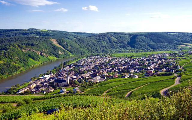 Ferienweingut Rainer Beitzel