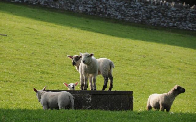 Willowherb Glamping Pod