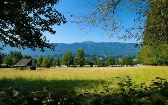 Nice Chalet in Pressegger See With Terrace