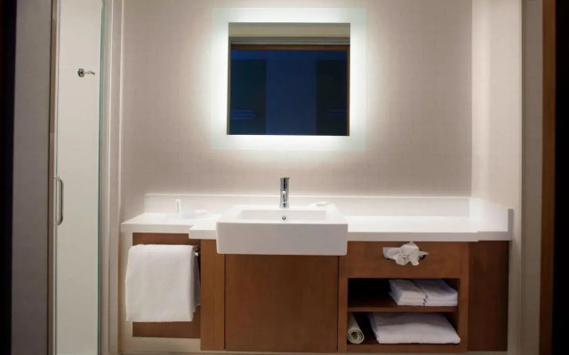 SpringHill Suites by Marriott Augusta