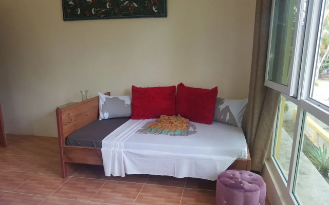 Bwejuu Beach Palm Villa