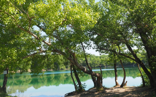 Ponteo   Activity Park