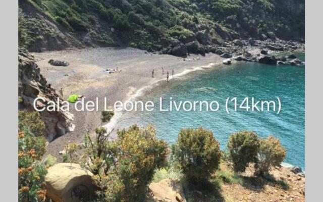 Acqua Marina: Appartamento Livorno centro