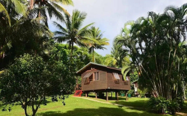 Daintree Rainforest Bungalows