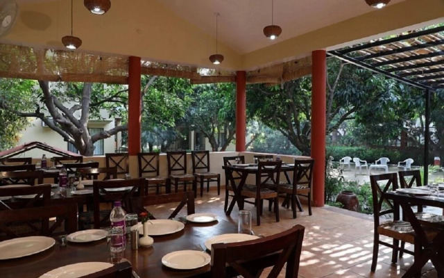Corbett Aroma Park By Royal Collection
