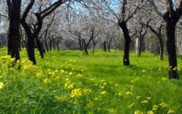 Holiday home EUTUXIA