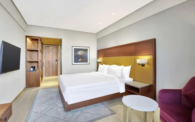 Radisson Hotel Nathdwara