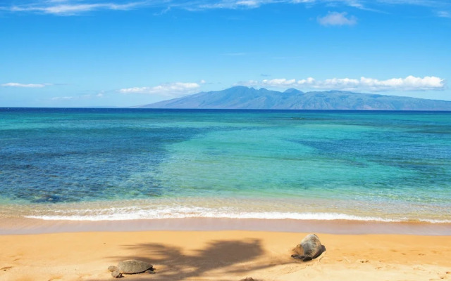 Hale Mahina B304