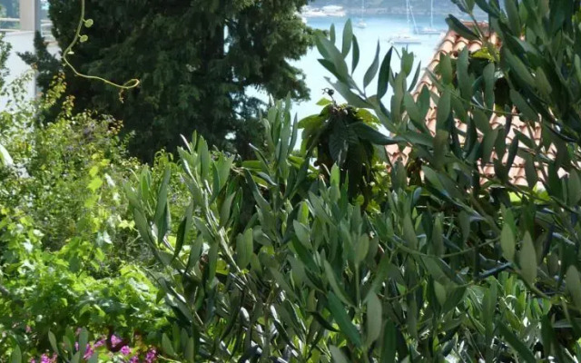 Holiday Home Jelena