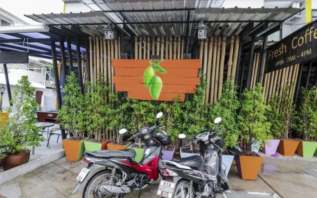 The Nice Mangoes
