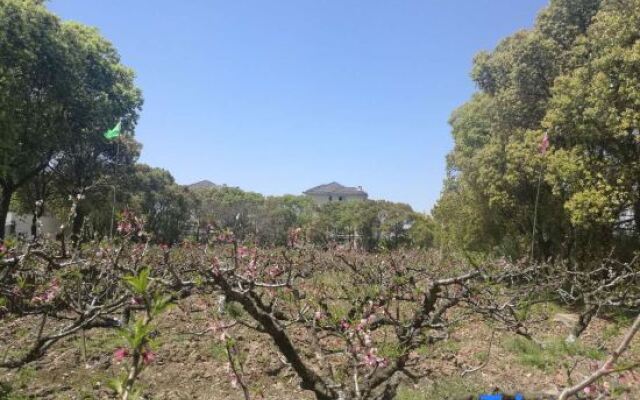 Peach Blossom Castle