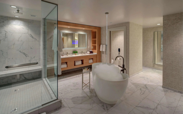 Hilton Norfolk The Main
