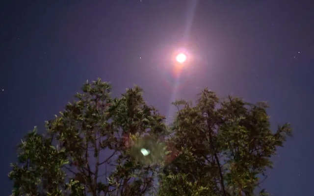 The Ishank Resorts Yercaud Hills