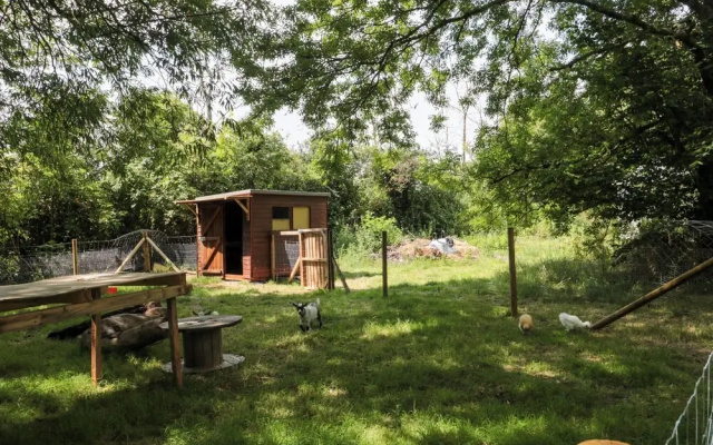 The Foxes Den Shepherds Hut