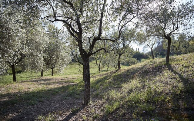 Villa Pacini - Just 1,8 km Outside Lucca Wall - Pool