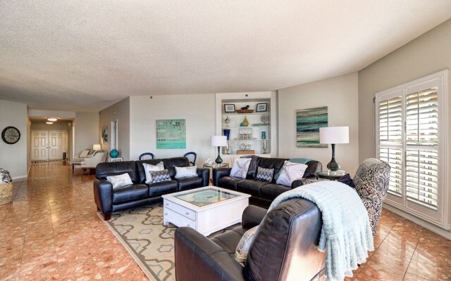 Beach Palms 504