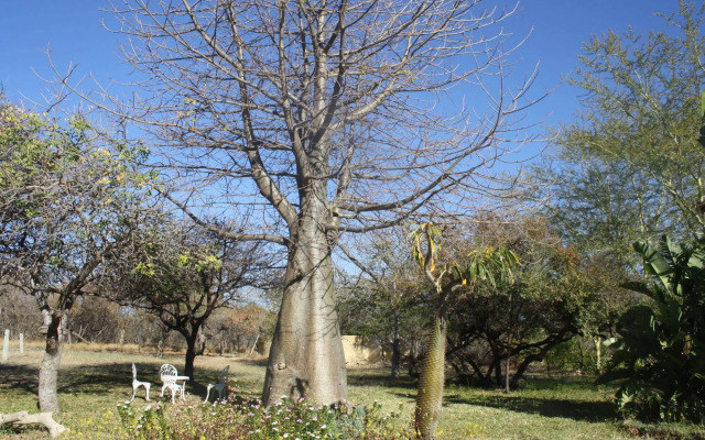 Mariepskop View