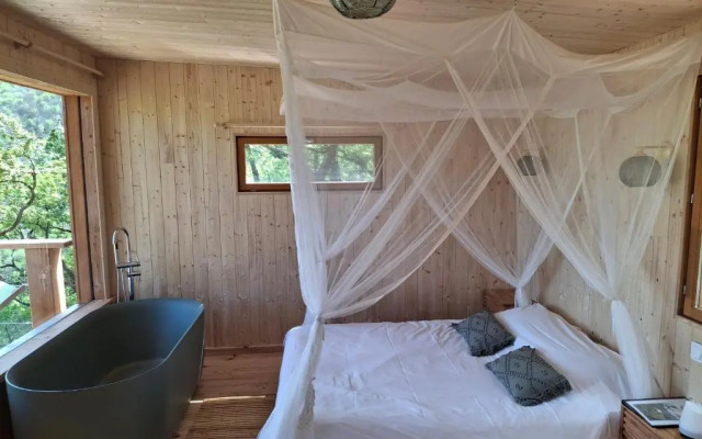 Hetre Sous Le Charme