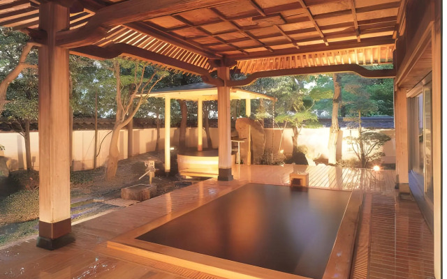 Hotel Saginoyu