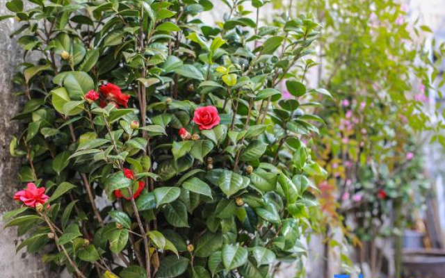 Bajianfang Hostel – Outside – Jiaxing