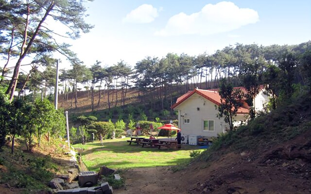 Seosan Pinehealing Pension
