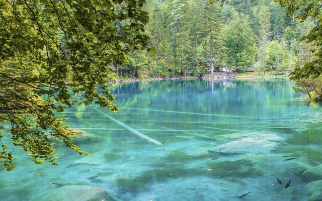 Hotel Blausee