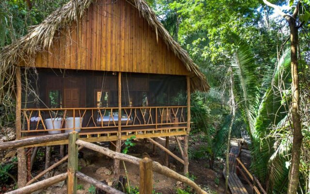 DuPlooys Jungle Lodge