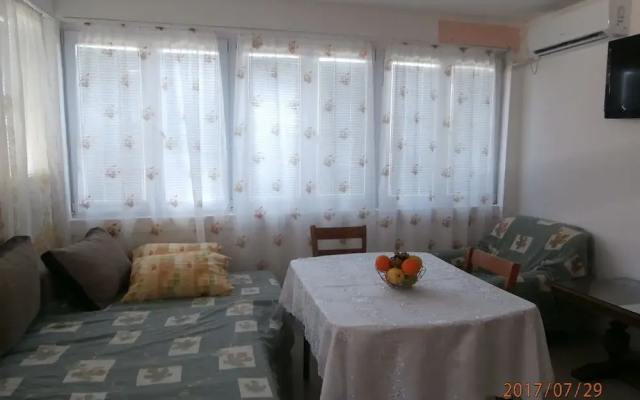 Vila Gerbera
