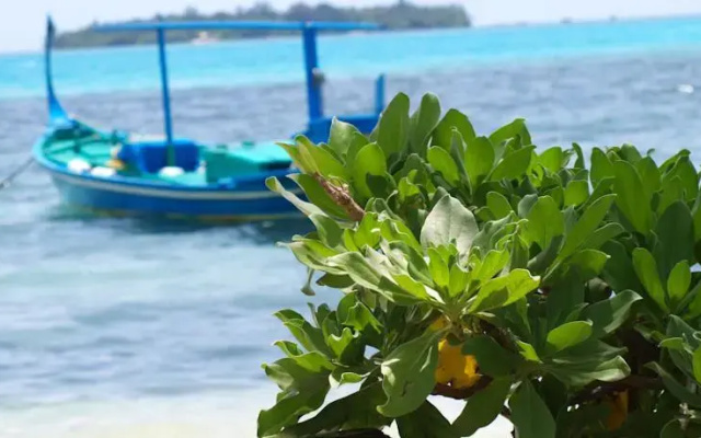 Dacha Maldives Guest House