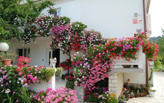 Rezikica - Green Oasis - A1