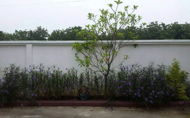 Wangthatum