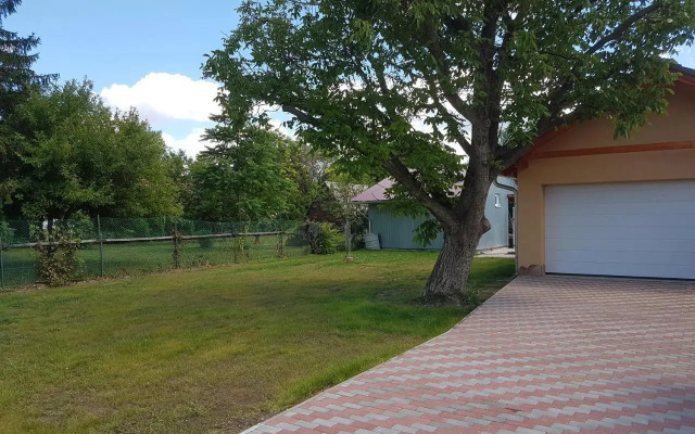 Dzsigoló Apartment