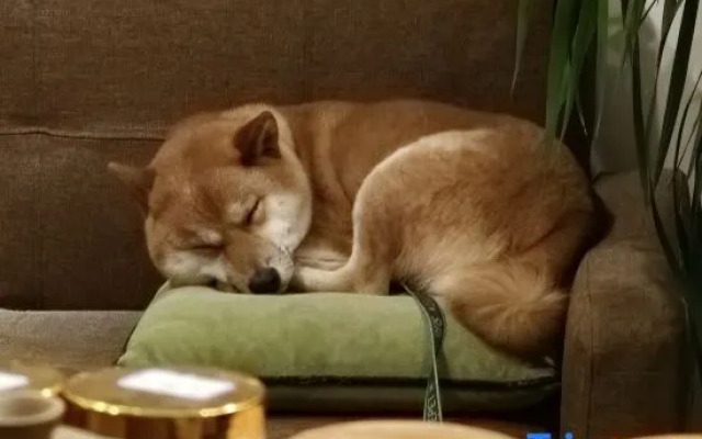 Three-time Bieyuan·star theme worry-free starry sky beauty hotel