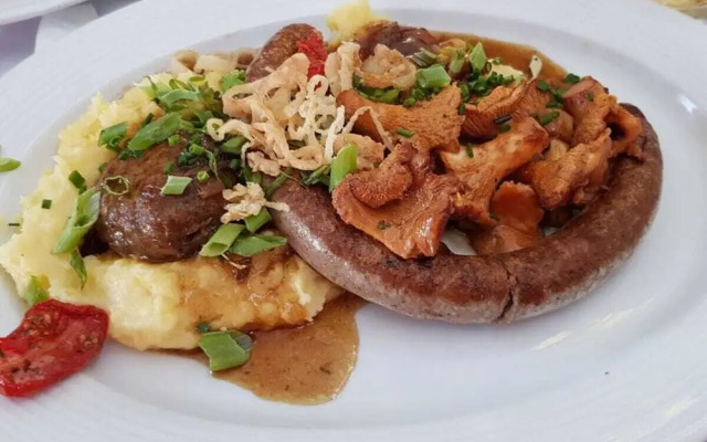 Mountain View Comfortable Holiday Residence