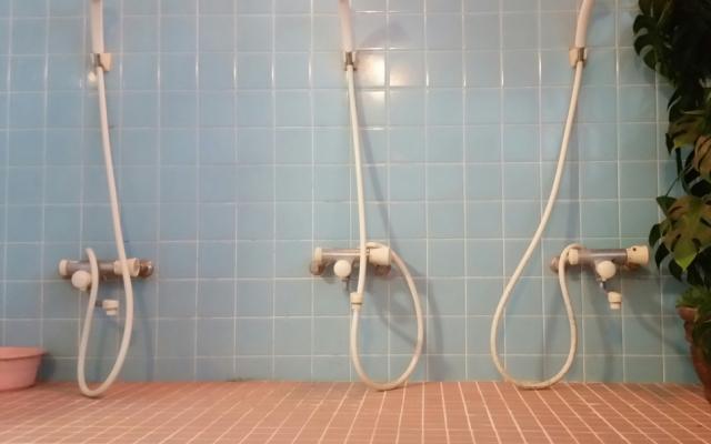 Miyazu Ryokan <Awajishima>