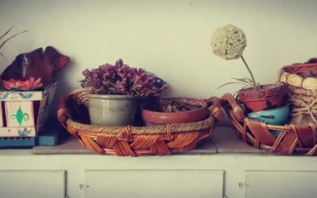 Hand decorated house with court